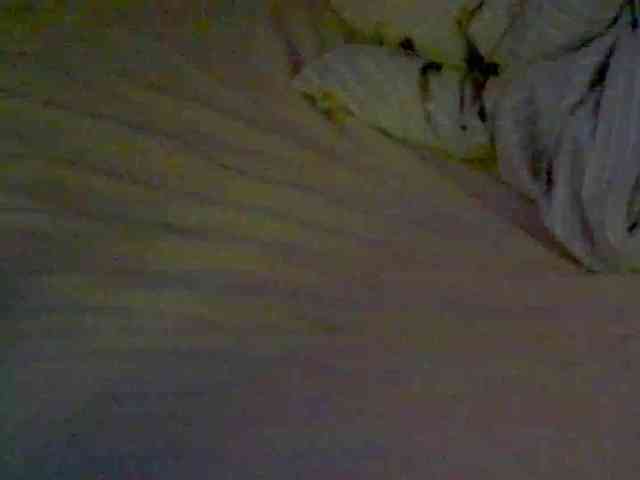 LolaLee