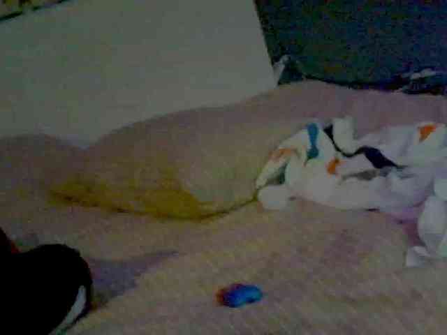 LolaLee webcam