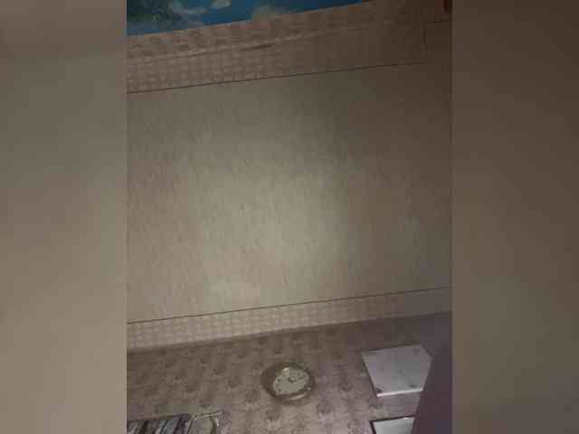 Milana22a webcam