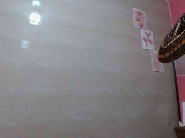 aliii_barrera webcam