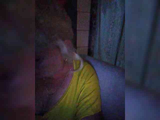 Ina-Jill webcam