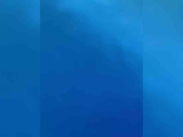 LauraSierra LauraSierra