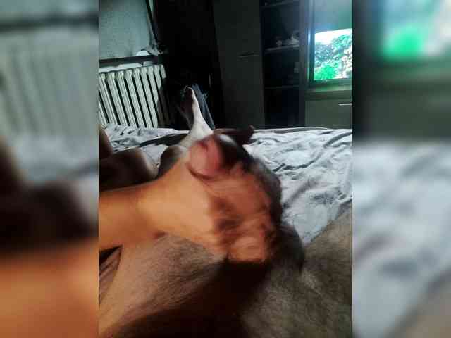 sag1kas2 webcam