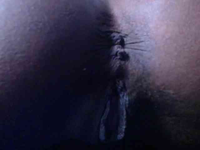 goldenn-ass goldenn-ass