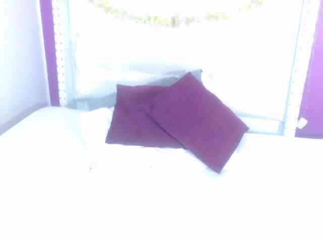 goldenn-ass webcam