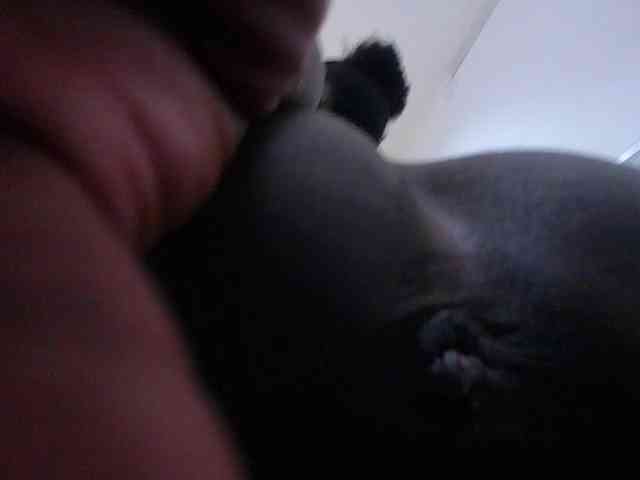 goldenn-ass webcam