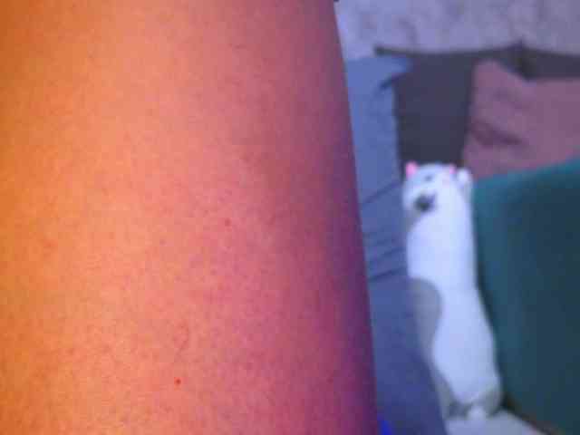 kisskitty webcam