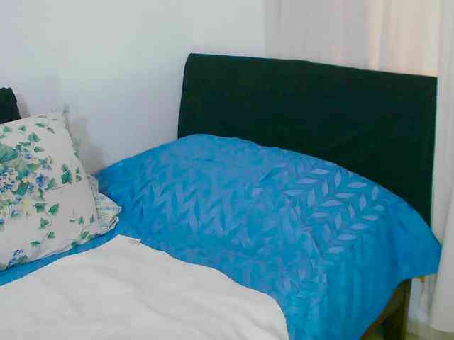 Kendraline webcam