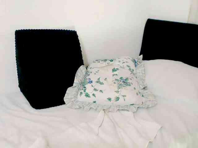 Kendraline webcam