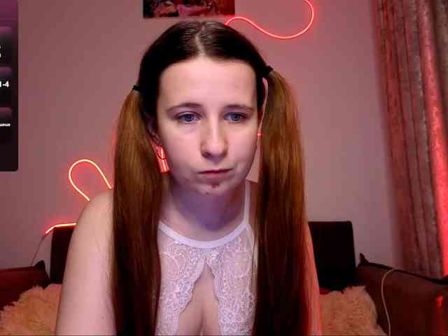 Lynn webcam