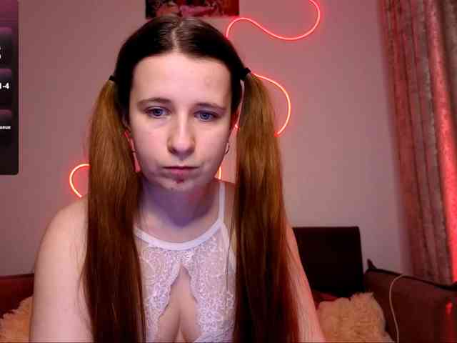 Lynn webcam