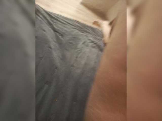 Preview of ualinas2003