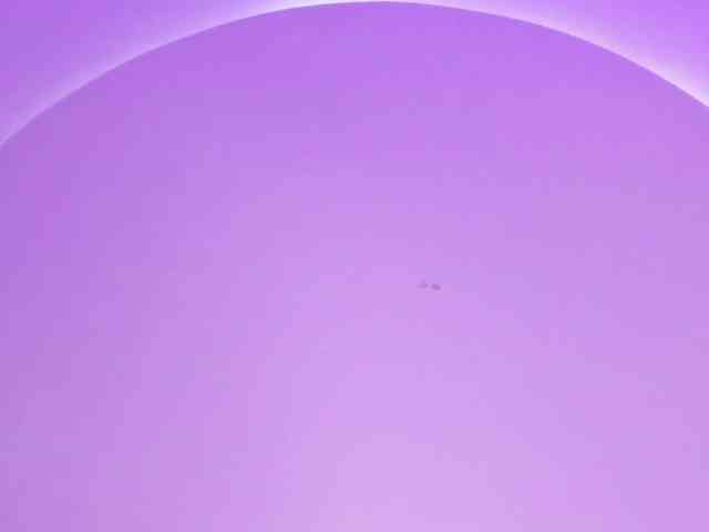Miss-Lyra webcam