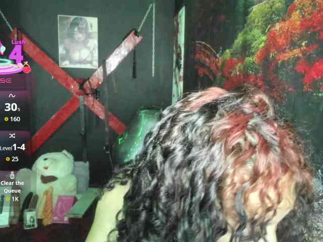 tracyKS webcam