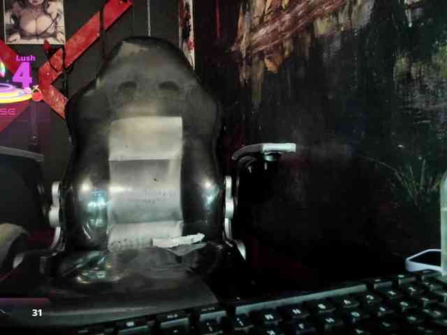 tracyKS webcam