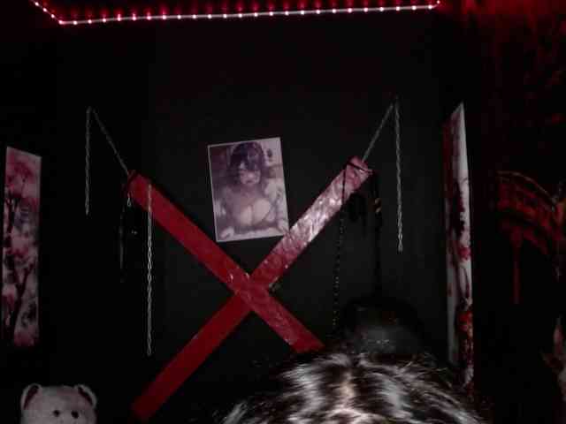 tracyKS webcam