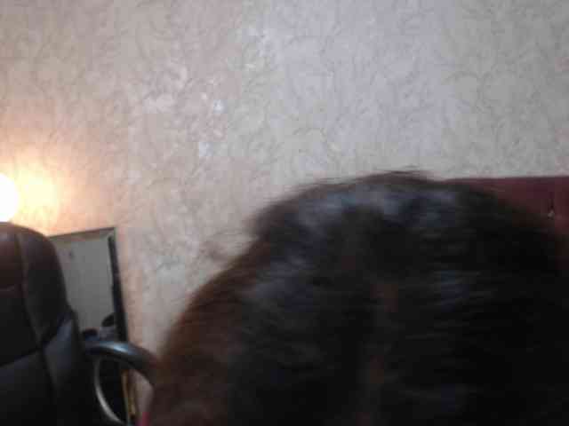 graceblu webcam