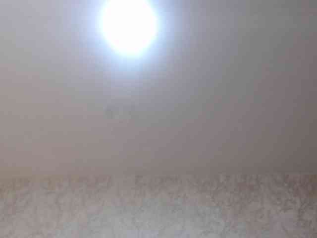 graceblu webcam