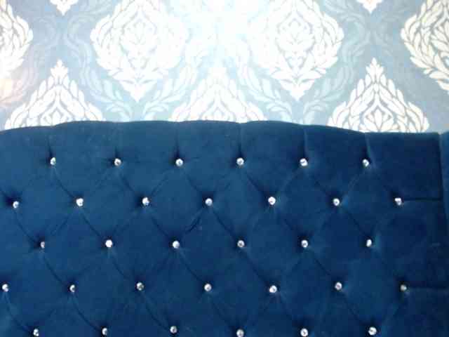 graceblu webcam