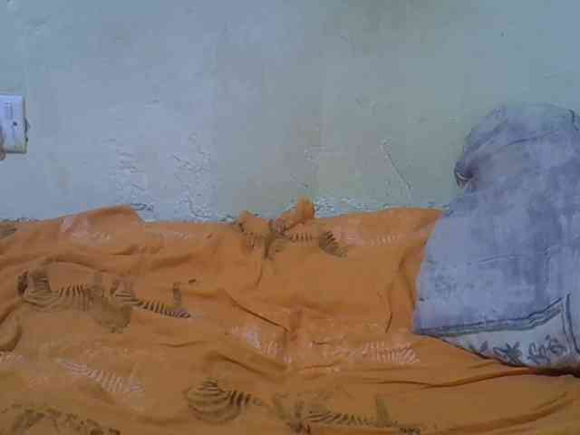 Cutevilla webcam