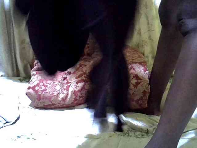 black-beauty webcam