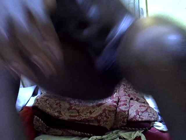 black-beauty black-beauty