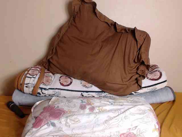 Karishma webcam