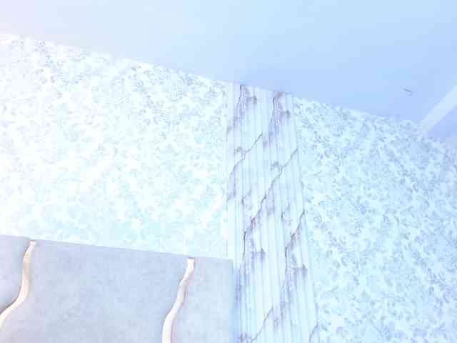 Kristen-tay Kristen-tay