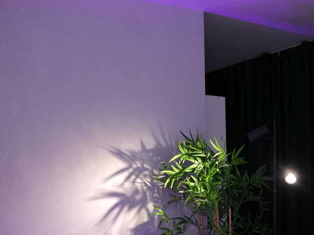 JessyKisss's BongaCams show and profile