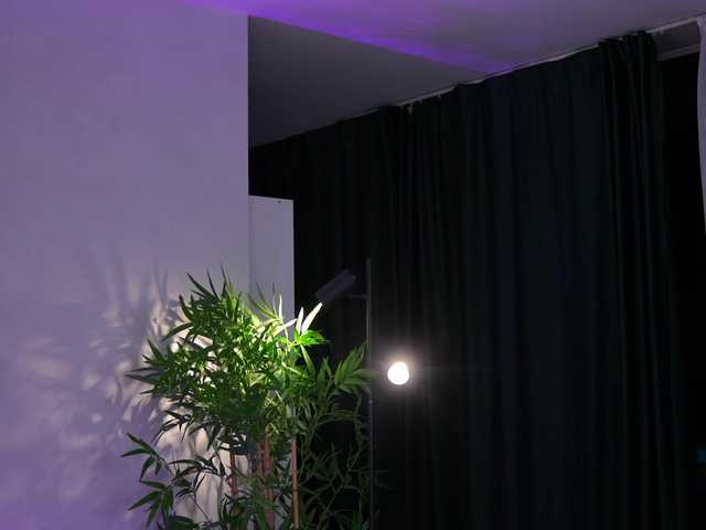 JessyKisss's BongaCams show and profile