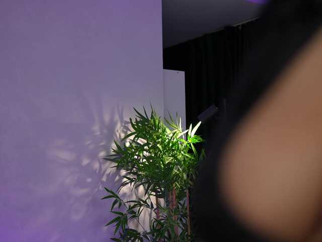 JessyKisss's BongaCams show and profile