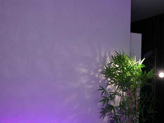 JessyKisss's BongaCams show and profile