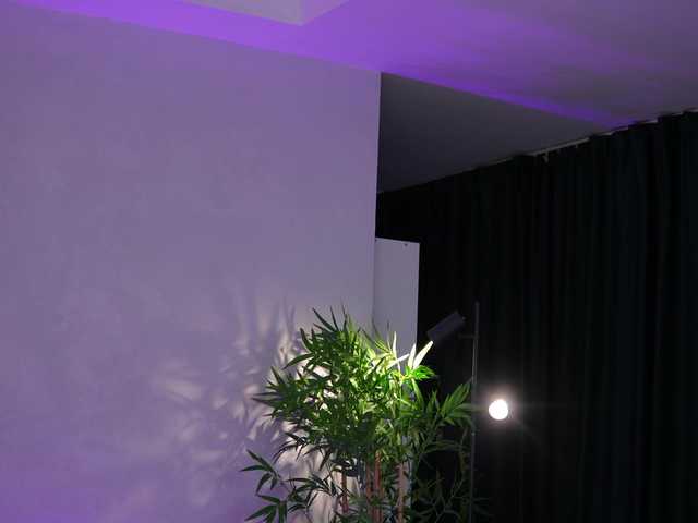 JessyKisss's BongaCams show and profile