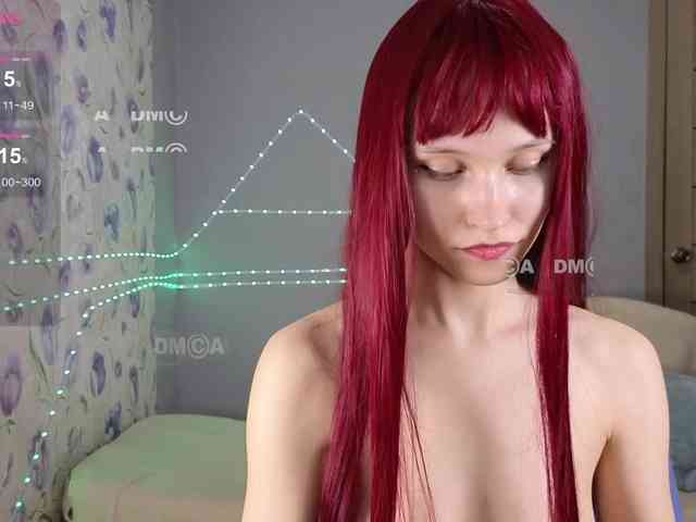 Armura webcam