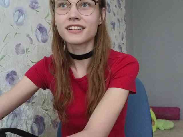 Armura webcam