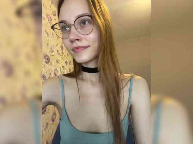 Armura webcam