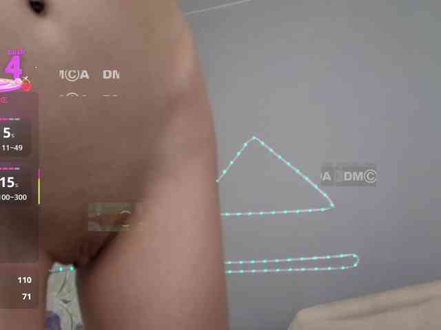 Armura webcam
