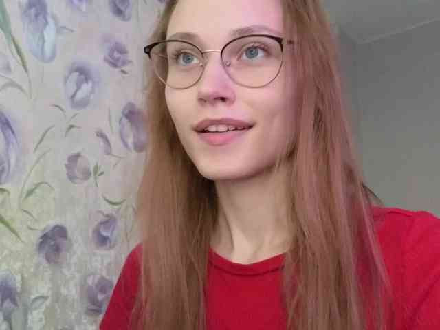 Armura webcam