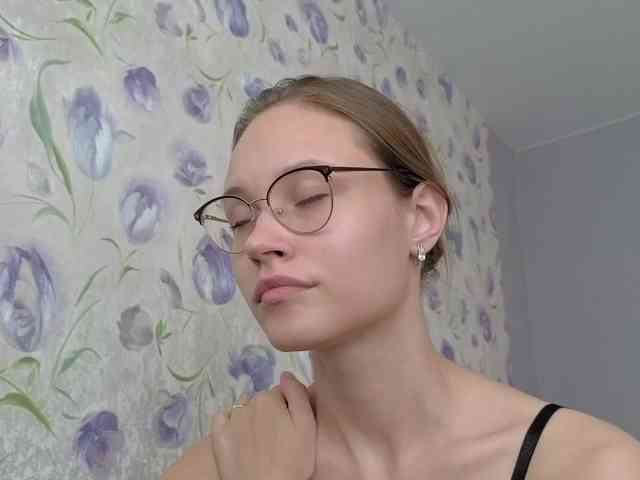 Armura webcam