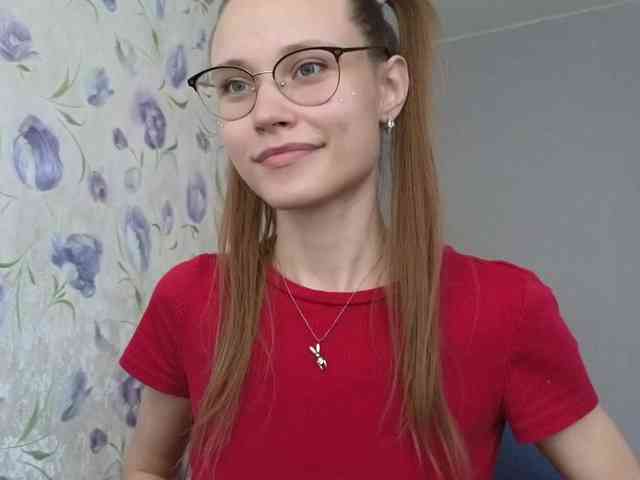 Armura webcam