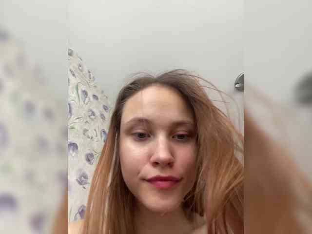 Armura webcam