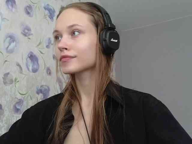 Armura webcam
