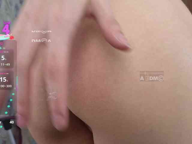 Armura webcam