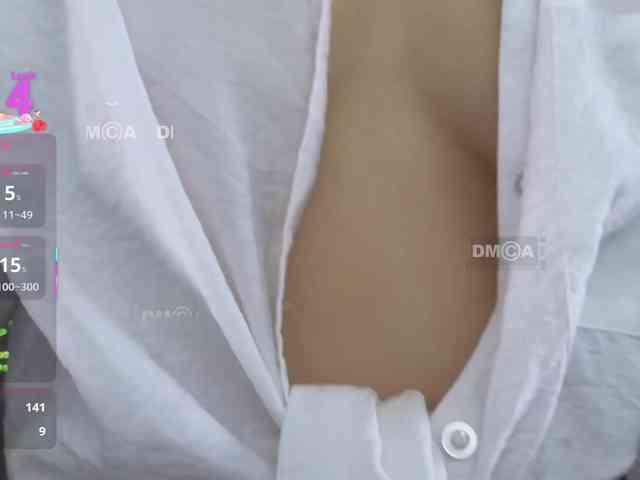 Armura webcam