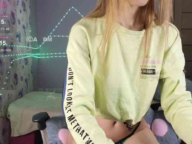 Armura webcam