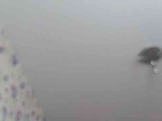 Armura webcam