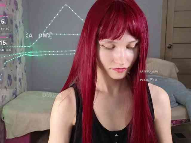 Armura webcam