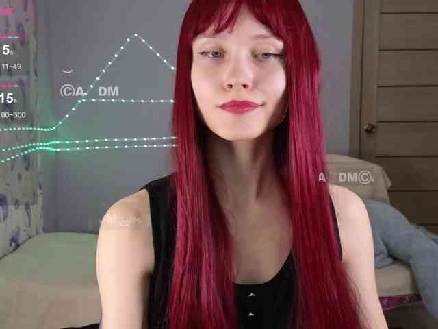 Armura webcam
