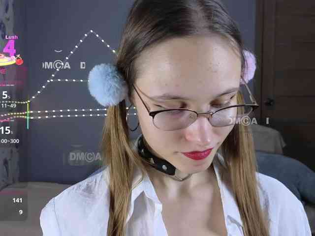 Armura webcam