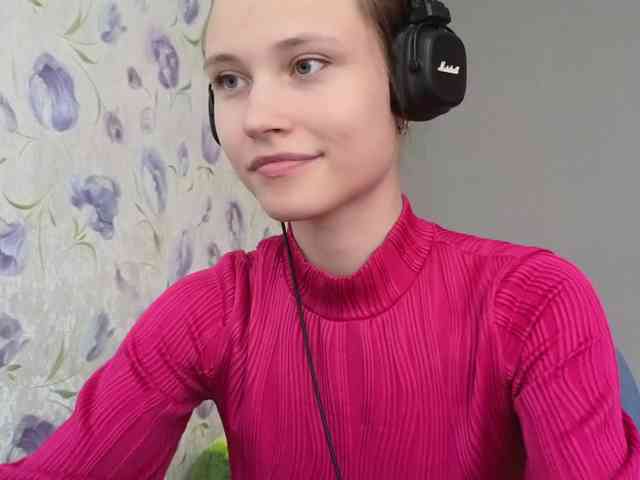 Armura webcam